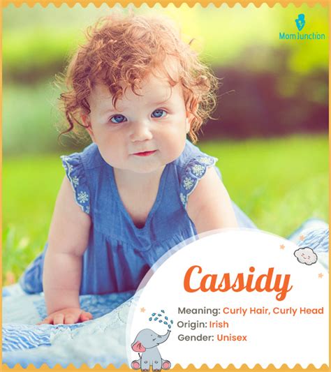 casssidy|Meaning, origin and history of the name Cassidy.